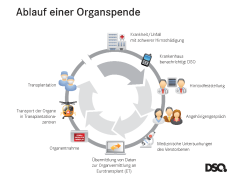 Grafik Ablauf Organspende